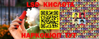 прущие грибы Кандалакша