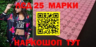 прущие грибы Кандалакша