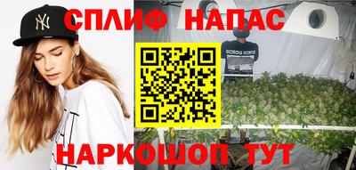 прущие грибы Кандалакша