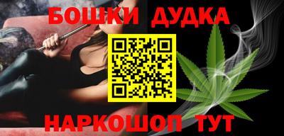 прущие грибы Кандалакша
