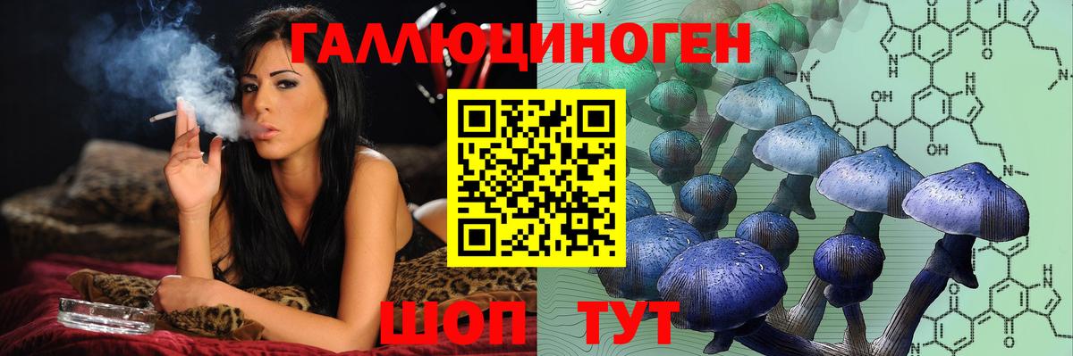 Пермь  Псилоцибиновые грибы прущие грибы  Вход с VPN  Псилоцибиновые грибы Cubensis 